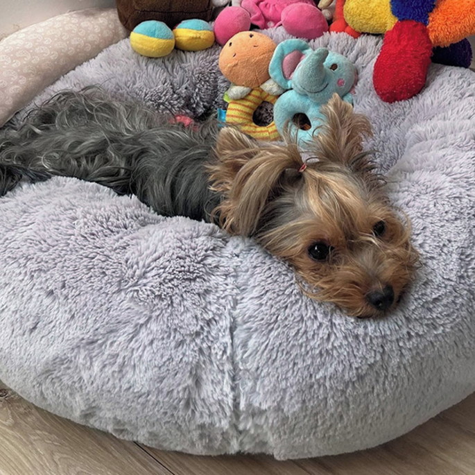 Imagem 2 - Cama Nuvem de Pelúcia - 100cm - Cães