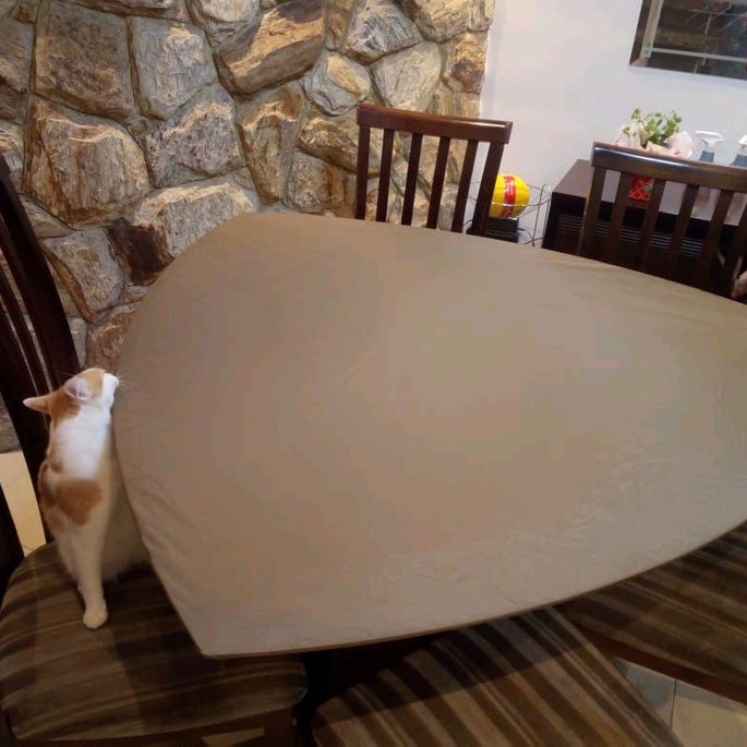 Imagem 2 - Toalha Mesa Triangular com Elástico em Nylon Impermeável