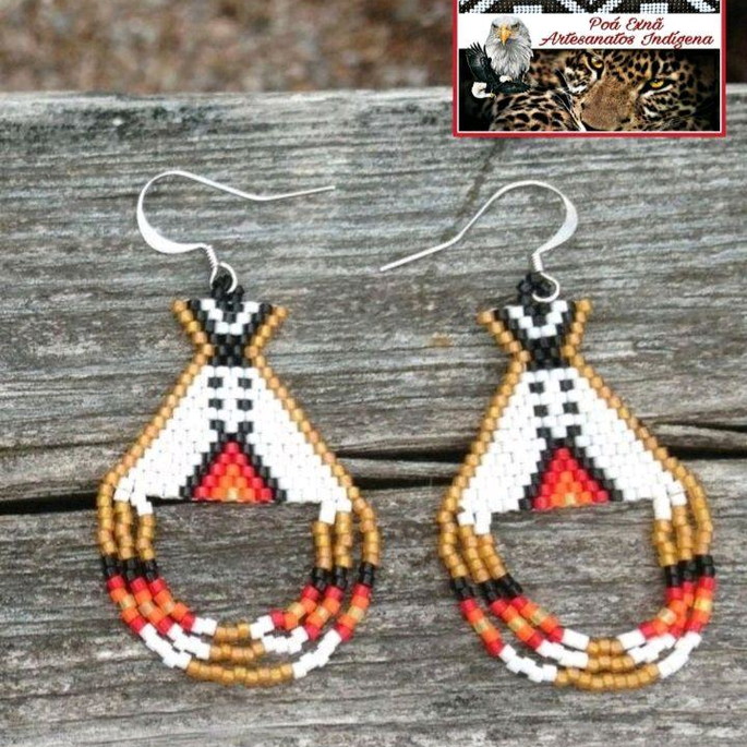 Imagem 1 - Brinco Native