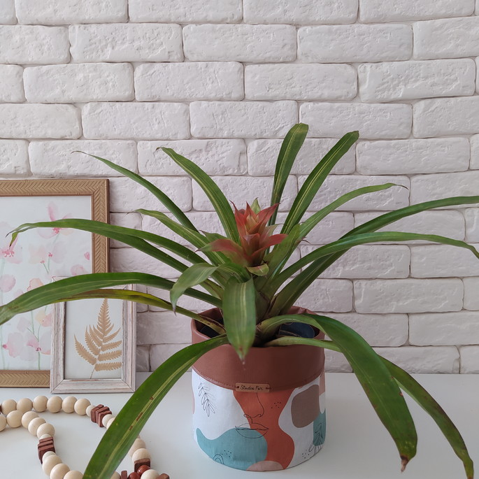 Imagem 4 - Cachepot Tecido