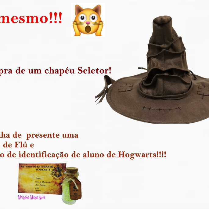 Imagem 2 - Chapéu Seletor- Harry Potter