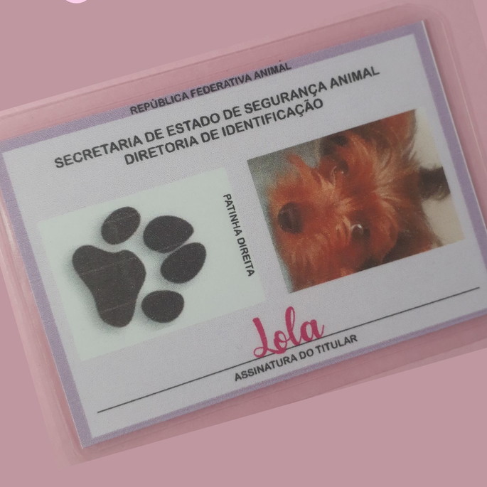 Imagem 4 - Documentos do Pet