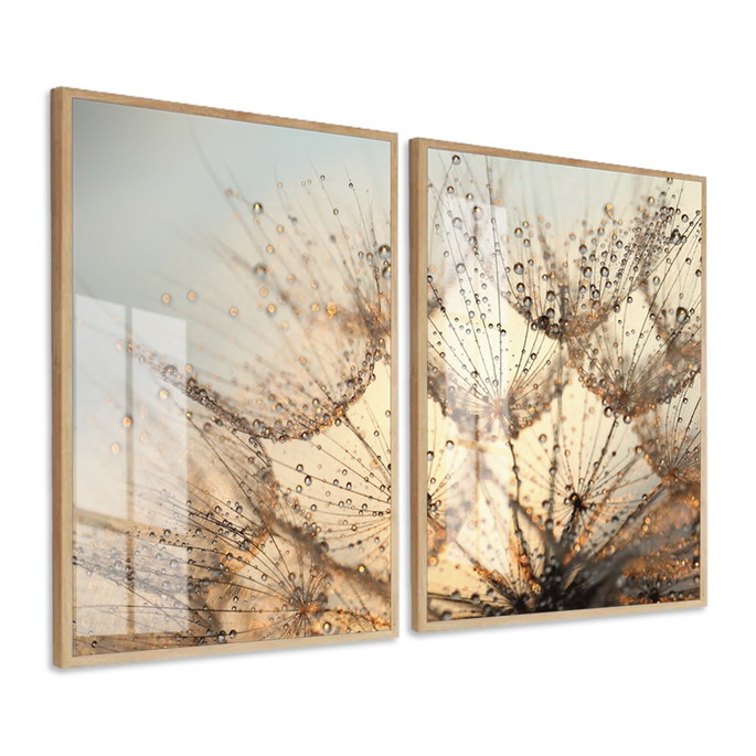 Imagem 3 - Kit 2 Quadros Decorativos Dente de Leão Flores Moldura Vidro