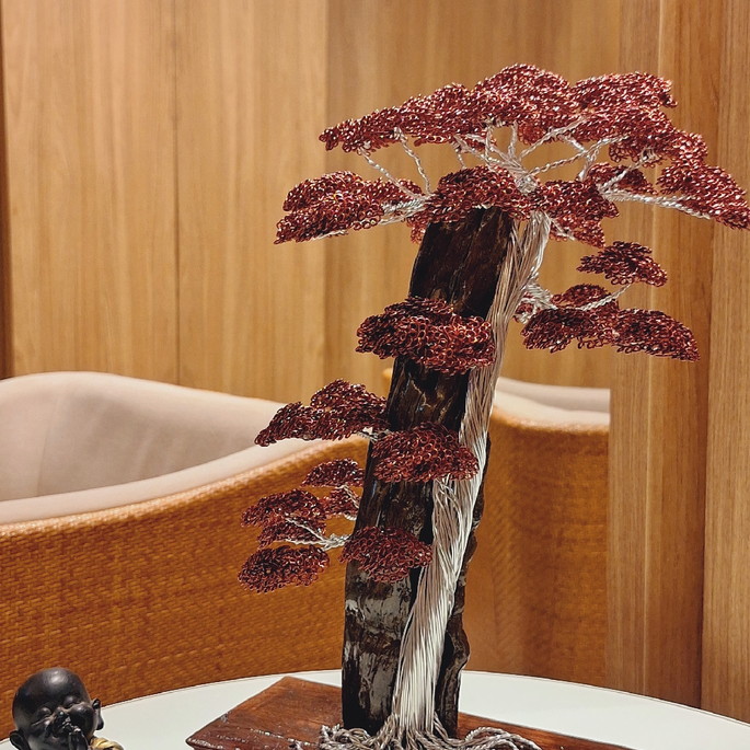 Imagem 2 - Bonsai Sharimiki