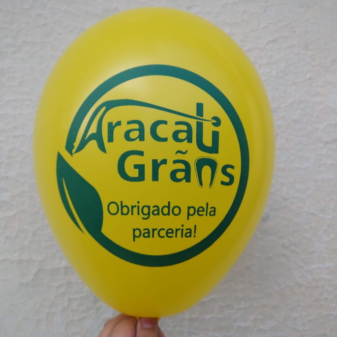Imagem 5 - Bexigas Personalizadas com Logomarca Cores Sortidas