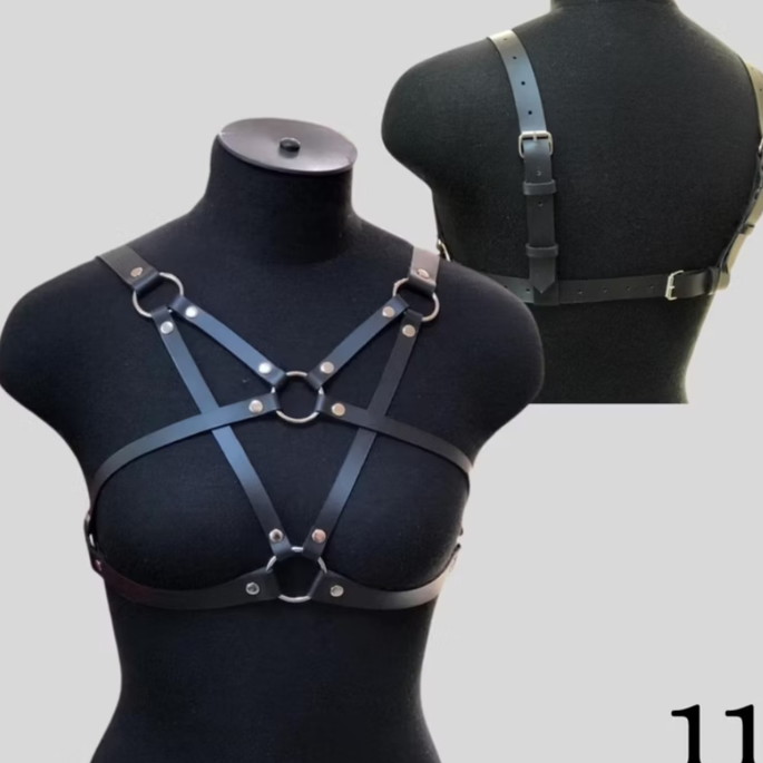 Imagem 1 - Harness8