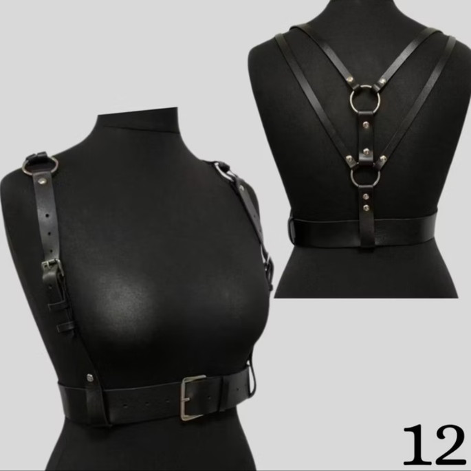 Imagem 1 - Harness9