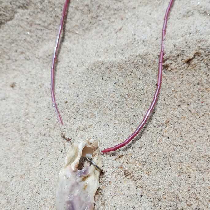 Imagem 4 - Gargantilha com Coral