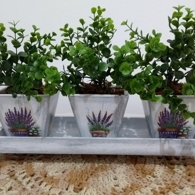 Imagem 1 - Conjunto 3 Cachepôs com Folhagem