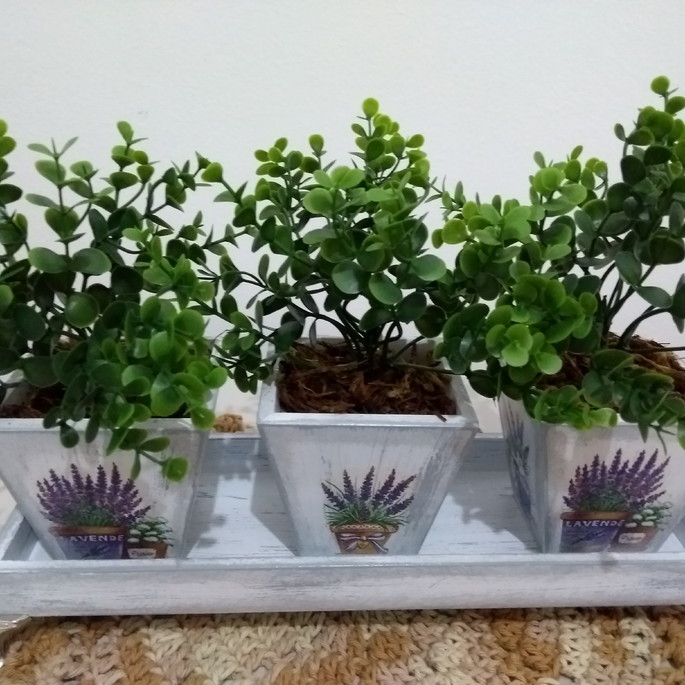 Imagem 5 - Conjunto 3 Cachepôs com Folhagem