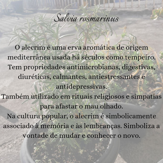 Imagem 3 - Colar Lembranças