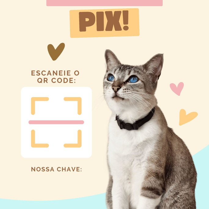 Imagem 5 - Placa Pix Qr Code Personalizada
