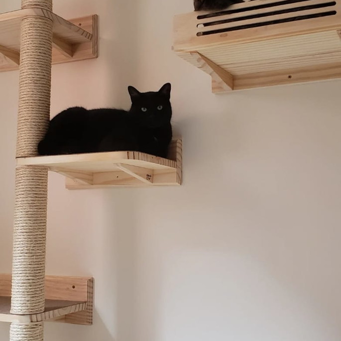 Imagem 2 - Arranhador p/ Gato-escalador-parede Plataforma Madeira