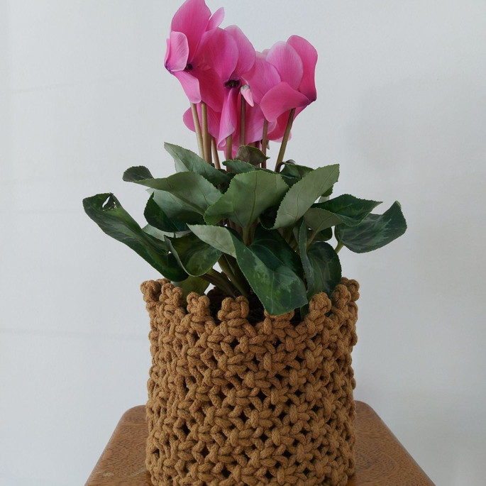 Imagem 1 - Cachepot Planta Macrame