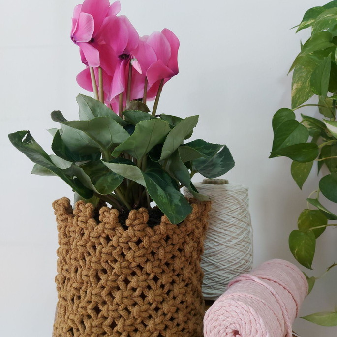 Imagem 2 - Cachepot Planta Macrame