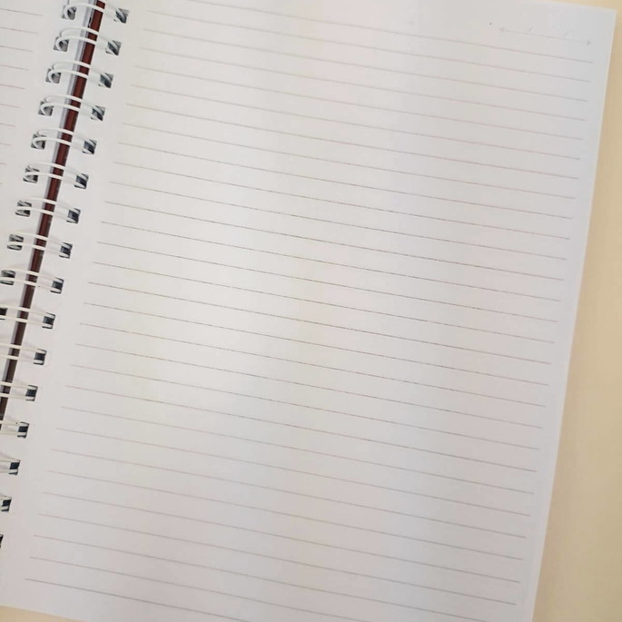 Imagem 4 - Caderno Corporativo