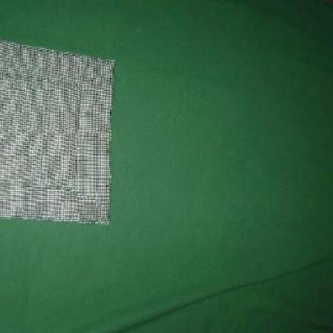 Imagem 3 - Almofada ( Leque )