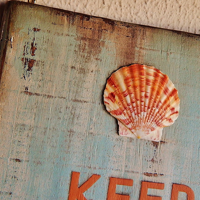 Imagem 5 - Placa Keep Calm Shell