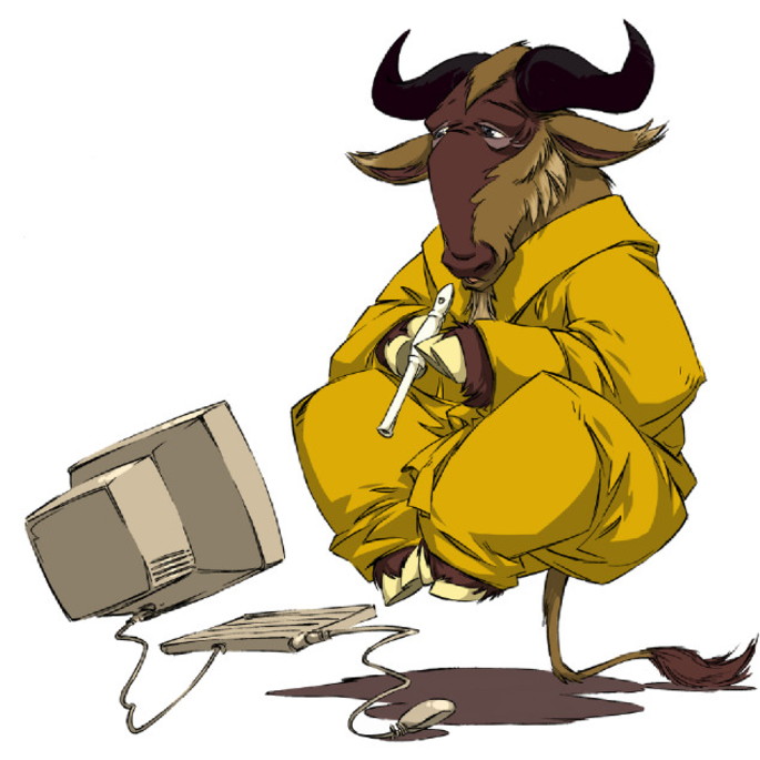 Imagem 2 - Camiseta GNU Linux