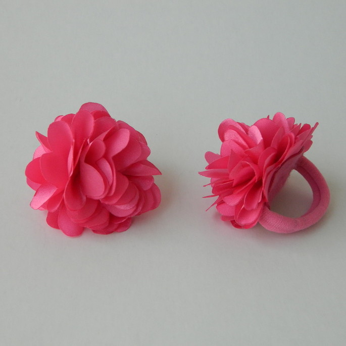 Imagem 4 - Elástico para Cabelos