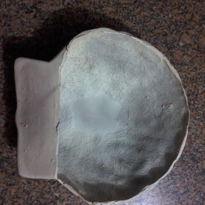 Imagem 2 - Concha Shell