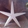 Imagem 1 - ESTRELA DO MAR - Enfeite