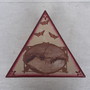 Imagem 4 - Caixa triangular 313