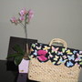 Imagem 3 - BOLSA PRAIA MEDIA