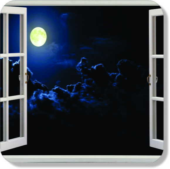 Adesivo Decorativo Janela Paisagem 3D no Elo7 Mundo do adesivo (84D4BD) Artesanato Em Eva Infantil Passo A Passo ~ Adesivo Decorativo Janela Paisagem 3D no Elo7 Mundo do adesivo (84D4BD)