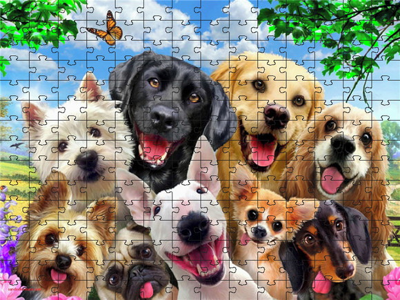 Puzzle 30 peças Cachorros Fofinhos / Puzzle 30 pieces cuddly dogs