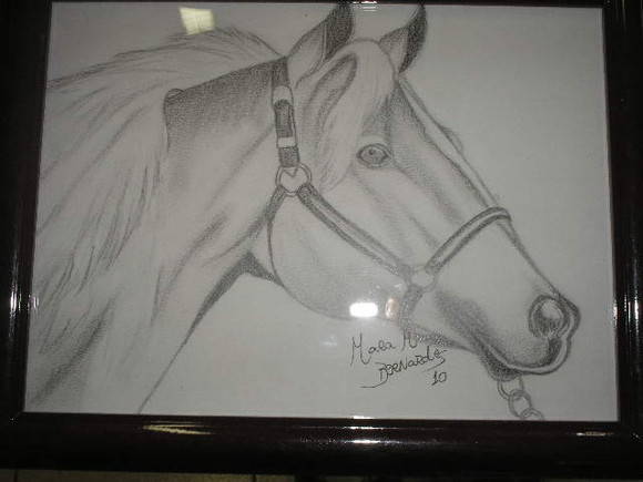 desenho em grafite cavalo no elo7 mara maria g bernardes 23807d
