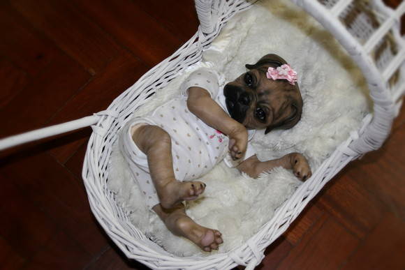 reborn pug pug pronta entrega beb 234 reborn by cris couto elo7 reborn pug pug pronta entrega beb 234 reborn by cris couto elo7