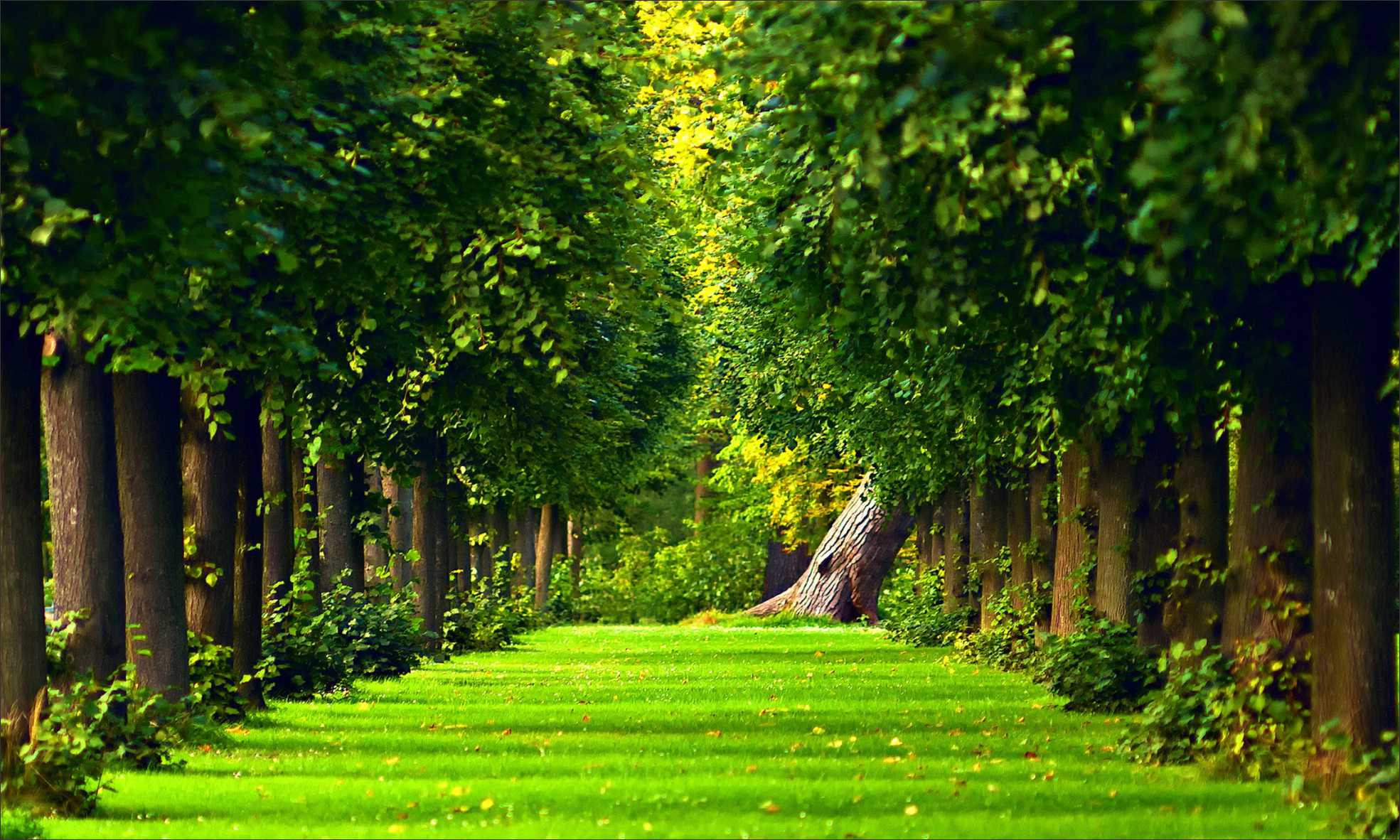 banner paisagem elo7