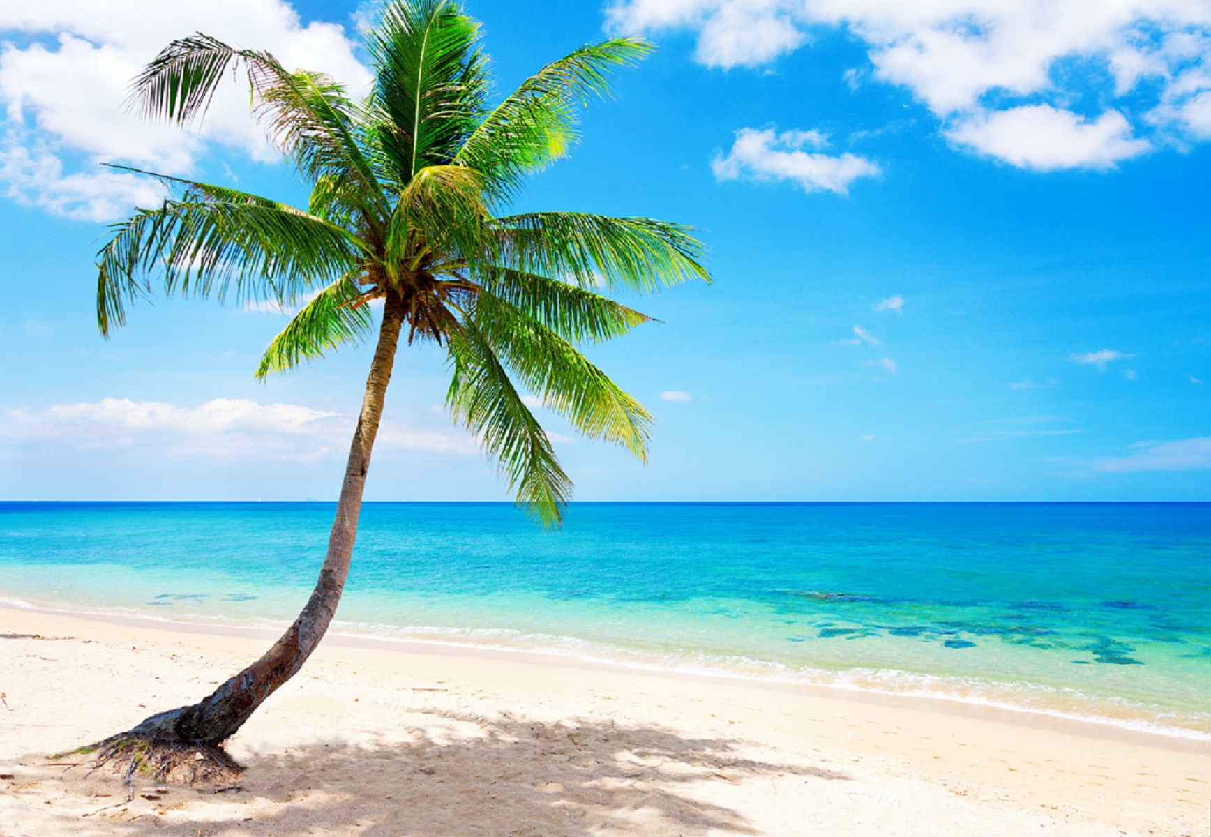 Adesivo de parede Paisagem praia naturez Bem Colado Adesivo De Parede Paisagem ~ Adesivo de parede Paisagem praia naturez Bem Colado