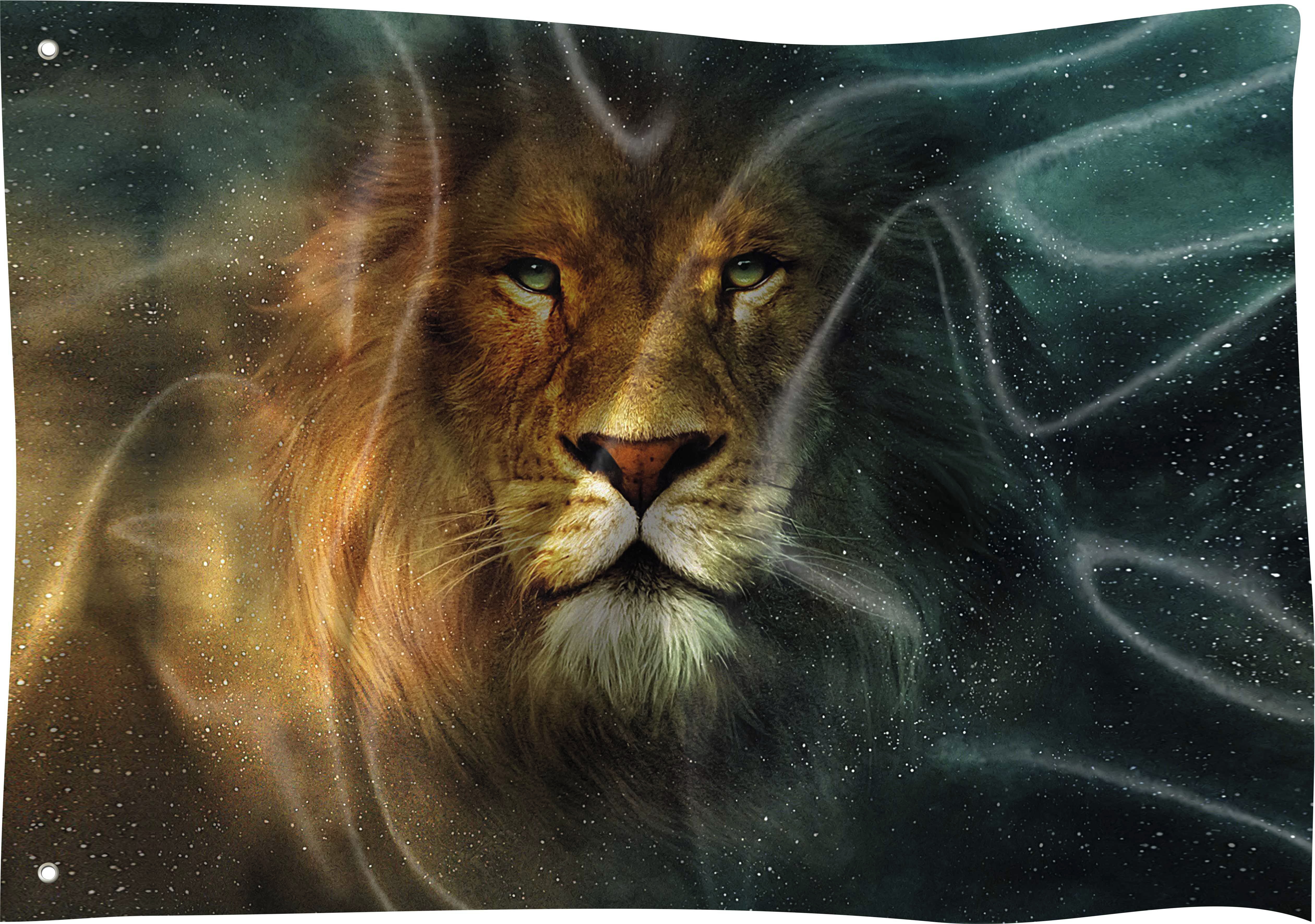 Bandeira Personalizada Animal Leao De Juda Selva Rei 01 No Elo7 Bandeira Personalizada Animal Leao De Juda Selva Rei 01 No Elo7