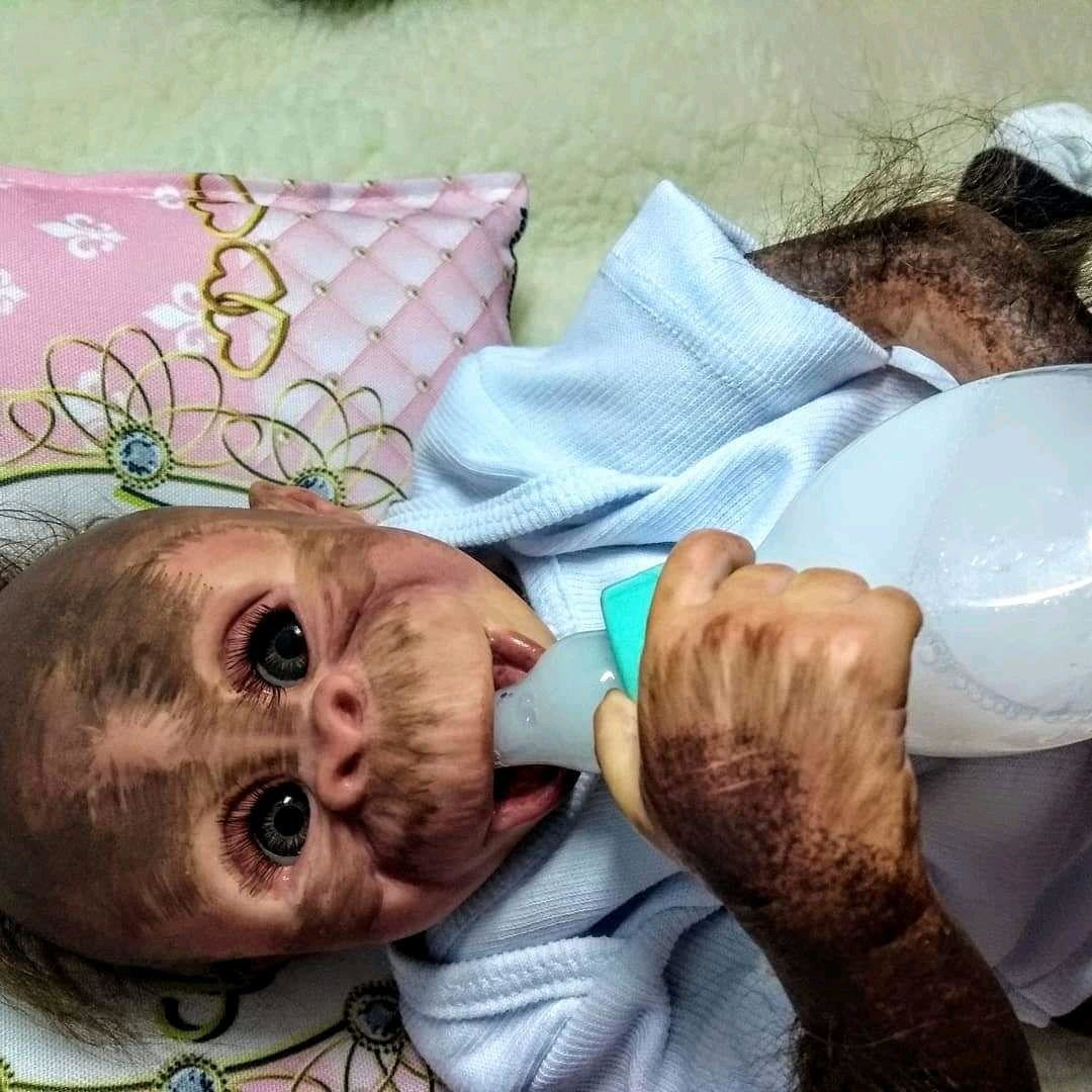 Bebê reborn macaco