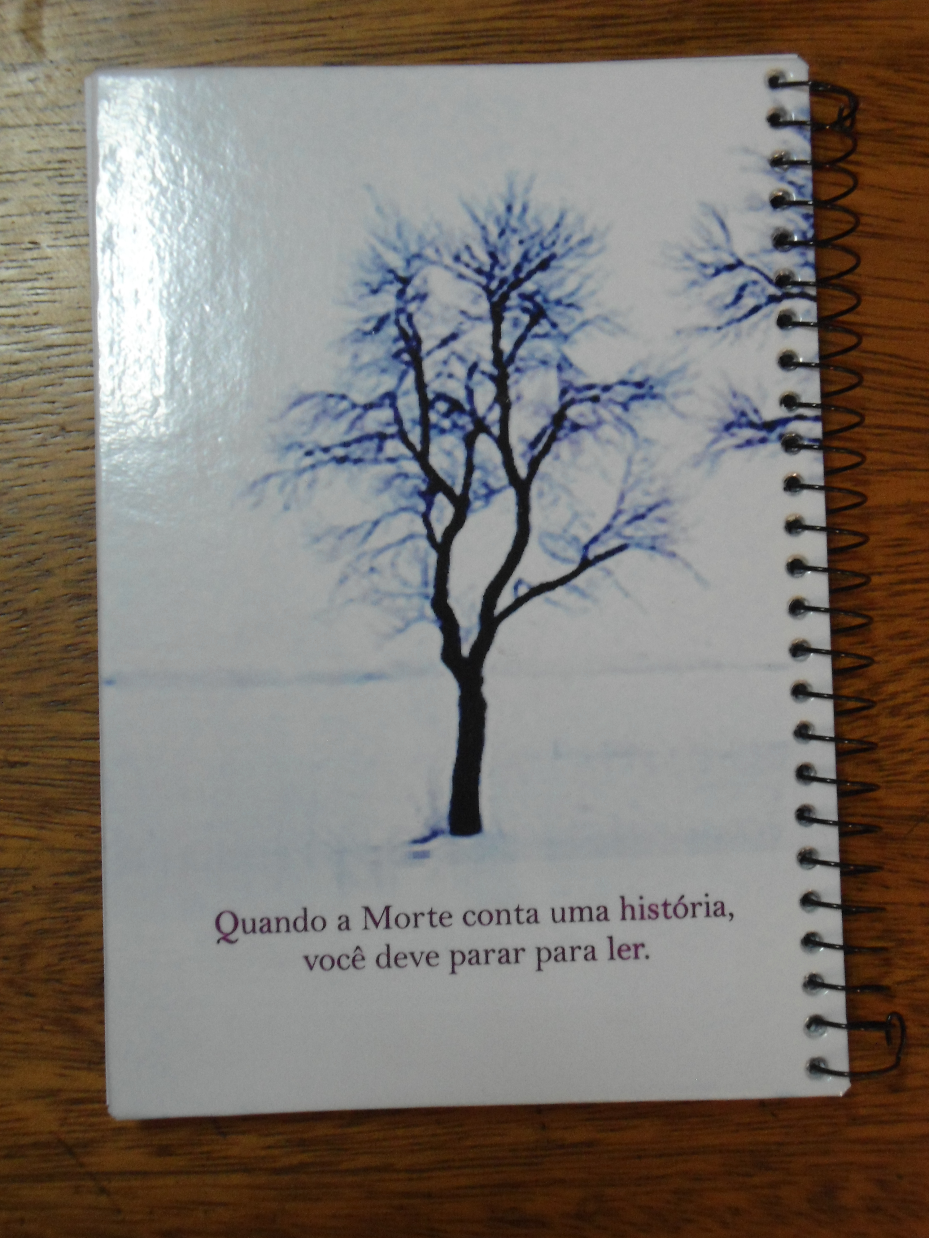 Caderno A Menina que roubava livros | Atelier Eureka | Elo7