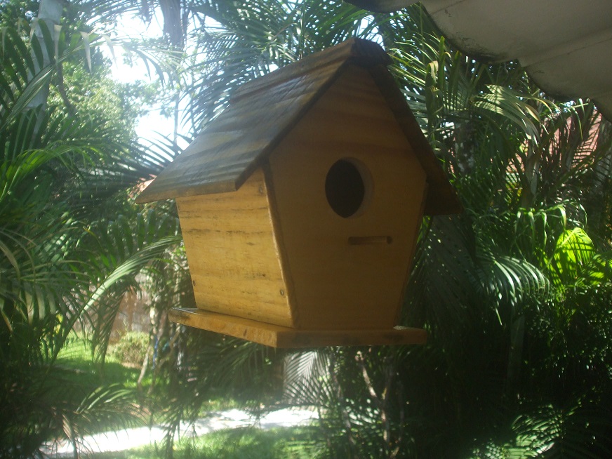 Casinha de Passarinho Modelo Chalet marcenaria boraceia Elo7 Armario En El Salon ~ Casinha de Passarinho Modelo Chalet marcenaria boraceia Elo7
