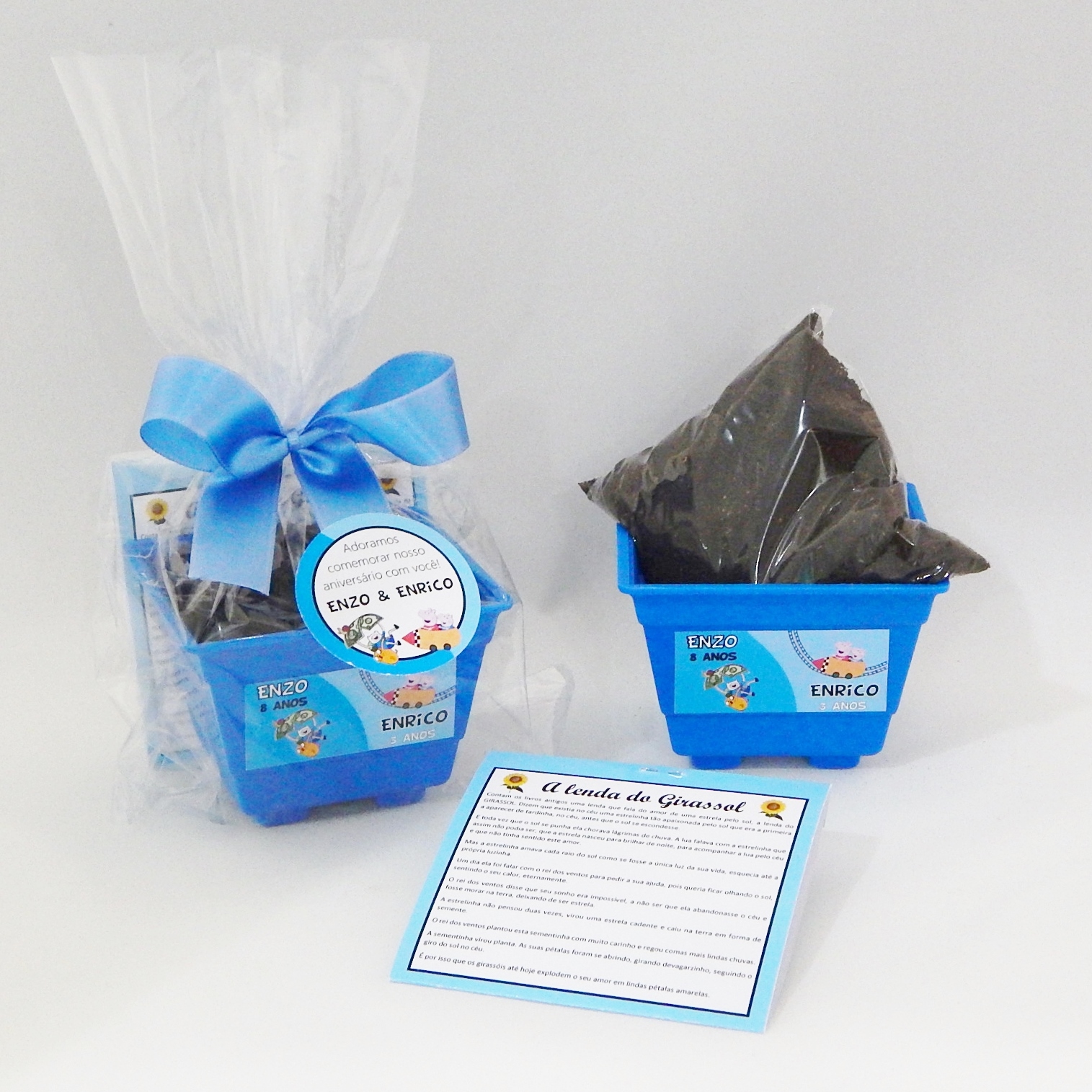 6 envelope x 9 Kit ARTE PATI ATELIE Girassol {lembrancinha} jardinagem 6 envelope x 9 Kit ARTE PATI ATELIE Girassol {lembrancinha} jardinagem