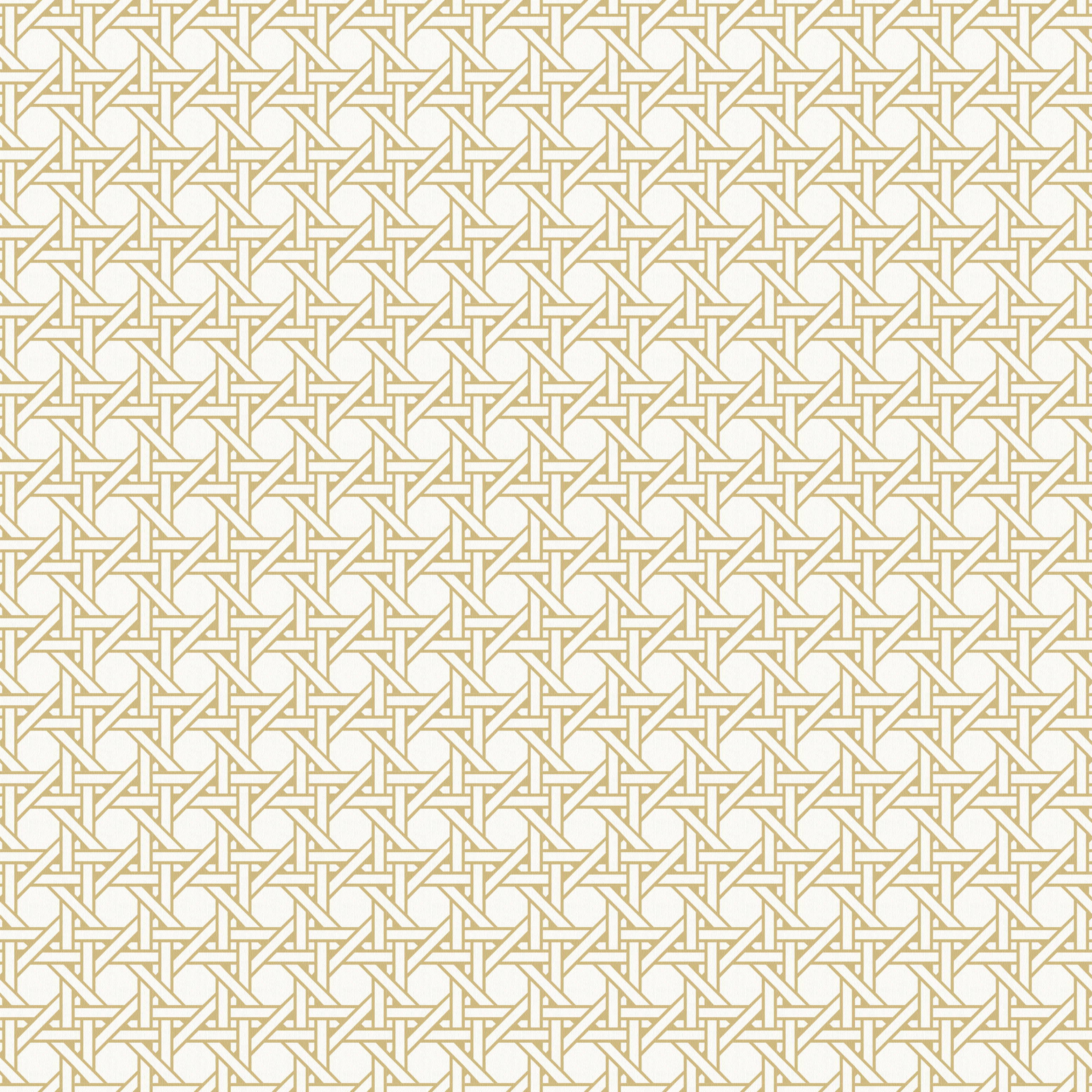 Papel De Parede Palha Marrom 1740 No Elo7 Wp Decor 594ed9