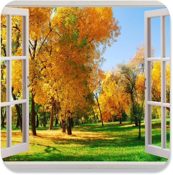Adesivo Decorativo Janela Paisagem Mundo do adesivo Elo7 Artesanato Em Eva Infantil Passo A Passo ~ Adesivo Decorativo Janela Paisagem Mundo do adesivo Elo7