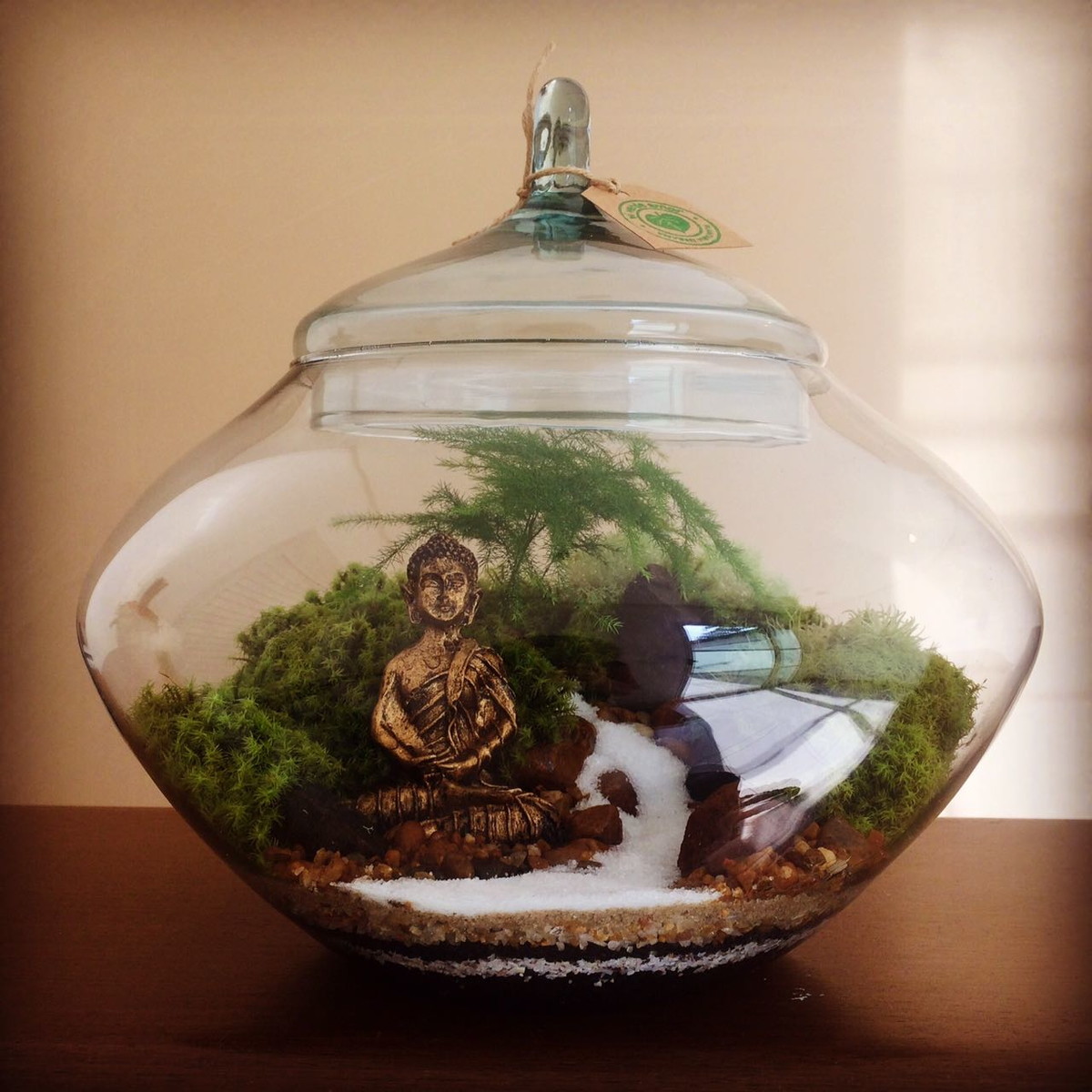 Exo Terra Glass Terrarium Xx Exo Terra Glass Terrarium Xx