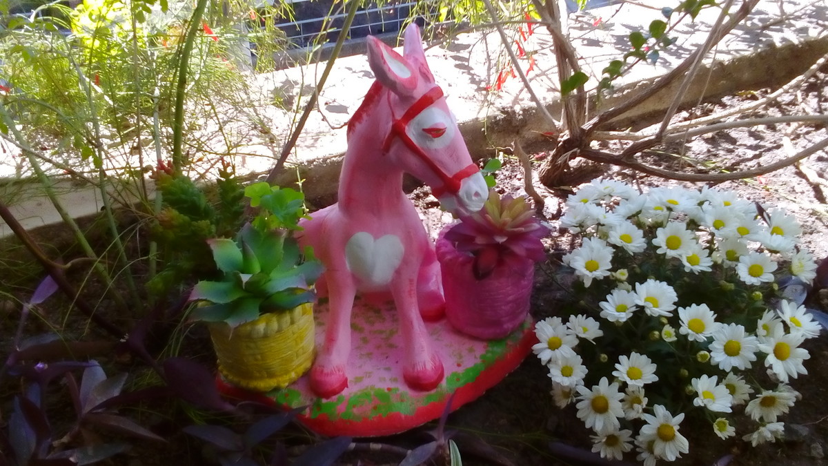Enfeite de Jardim Burrinha Rosa Chik Maravilha Elo7 Enfeite De Jardin ~ Enfeite de Jardim Burrinha Rosa Chik Maravilha Elo7