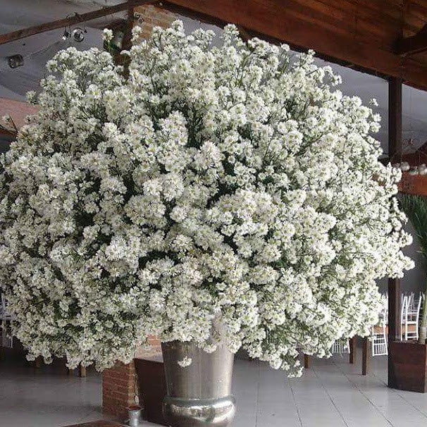 Arranjo flor natural p decoraç u00e3o de evento no Elo7 Requint Festas Decorações (BAE018) # Decoração De Bolo Com Flor Natural Arranjo flor natural p decoraç u00e3o de evento no Elo7 Requint Festas Decorações (BAE018) # Decoração De Bolo Com Flor Natural