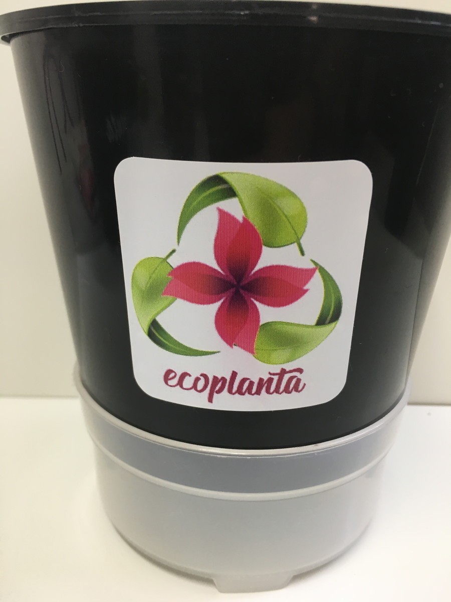 Kit Com 3 Vasos Auto Irrigáveis Temperos Gourmet Ecoplanta Elo7