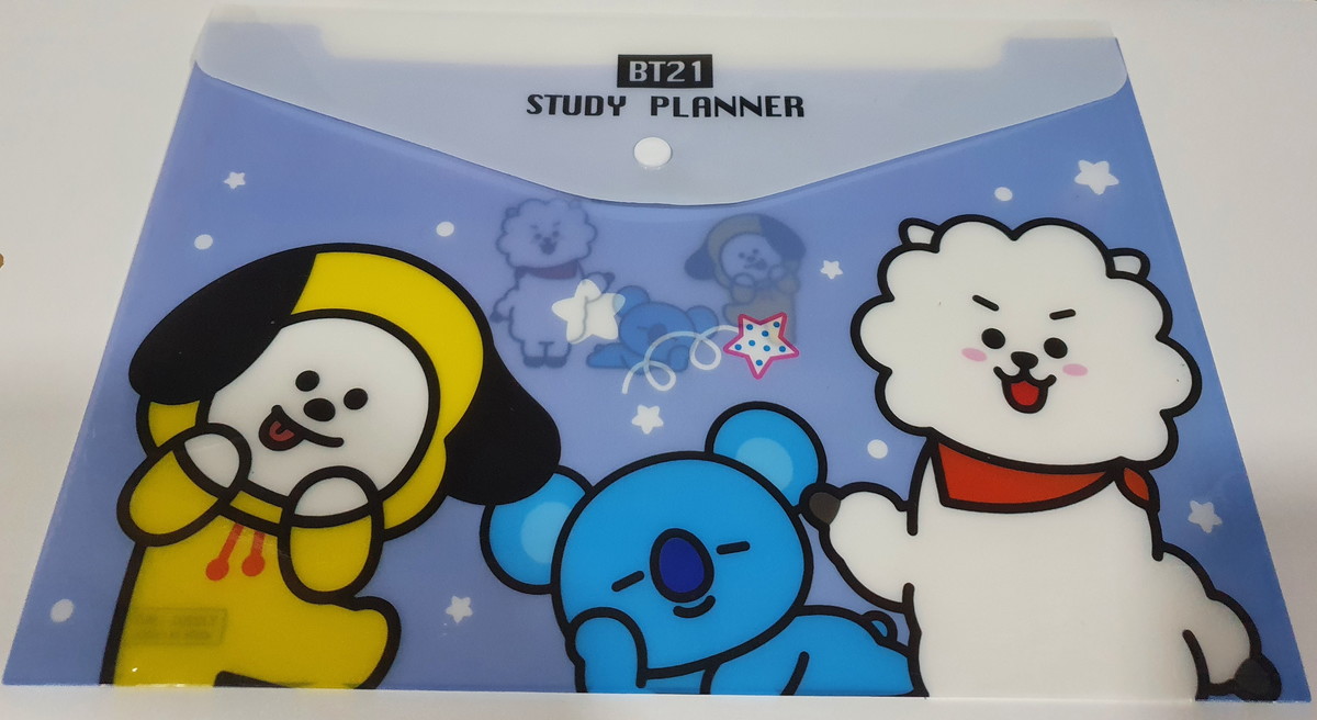 Pasta de Documentos BTS BT21 Estampa Frente e Verso no Elo7