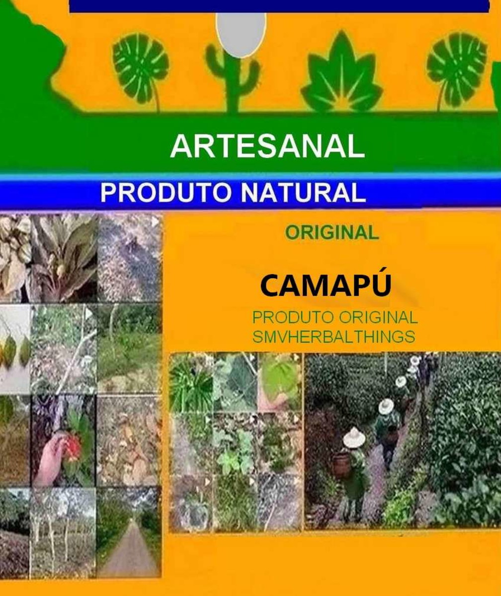Chá de Camapú 120 Gramas Artesanal Natural para Você | Elo7