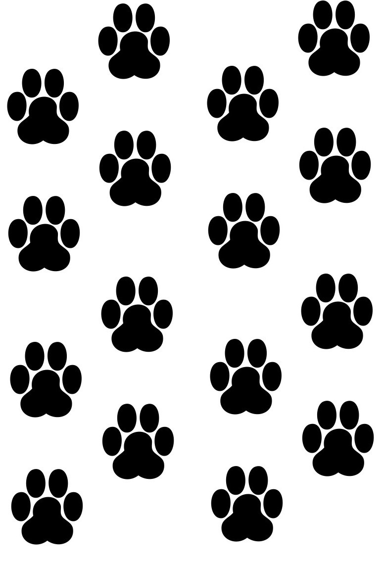 adesivos 72 patinhas cachorro carro casa no elo7 gaudesivos 546053