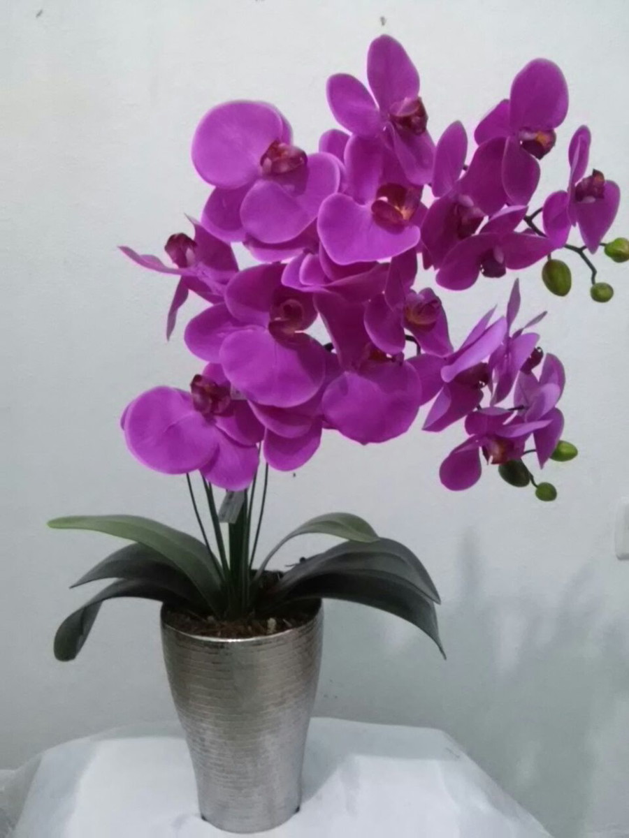 arranjos de orquideas silicone no elo7 valentina flores 578b4b
