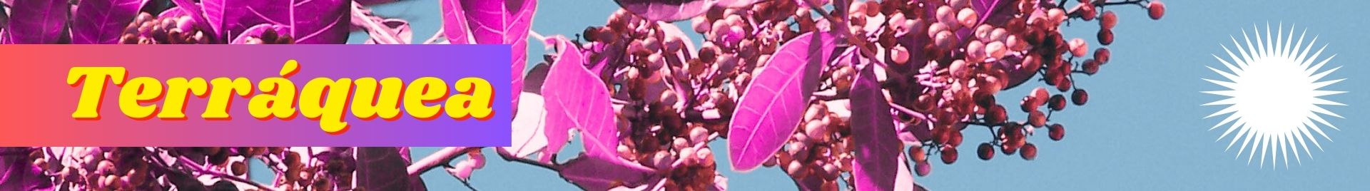 Terráquea - Cosméticos Naturais